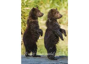 Allan & Bertram If Only They Could Talk Wall Calendar from Promocalendars