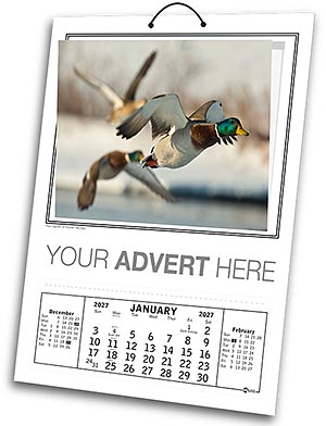 Single Picture Calendars