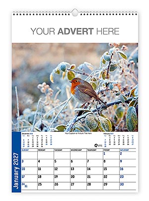 Fund Raising Wall Calendar Template D from the Aston Bespoke Range