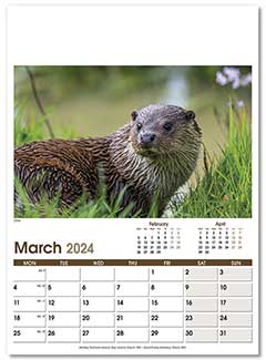 Optima 12 Page Postage Saver Calendar With Date Block Setting