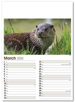 Optima 12 Page Postage Saver Calendar With Memo Date Setting