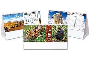 C72 Wild Planet Desk Calendar from Reeve