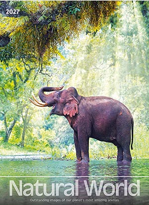 PC251 Natural World Calendar from Rose