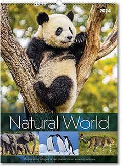 PC251 Natural World Calendar from Rose