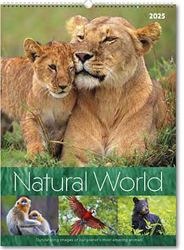 PC251 Natural World Calendar from Rose